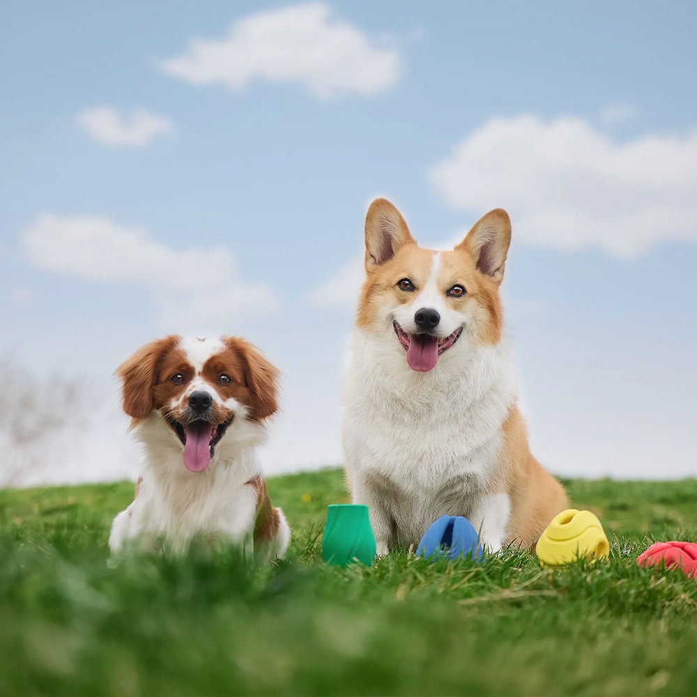 PET SUPPLIES